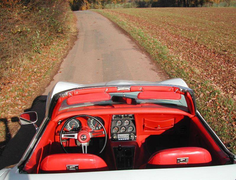 MARTINSRANCH 72 Stingray white red (14) 